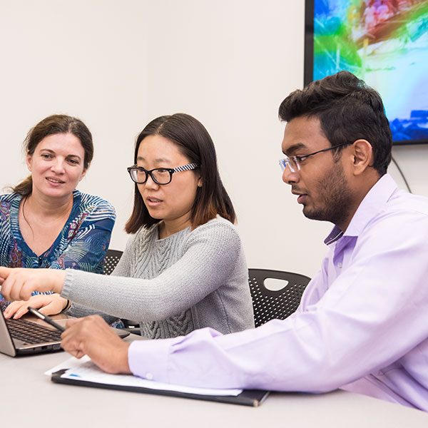 Two students and faculty member work at a laptop